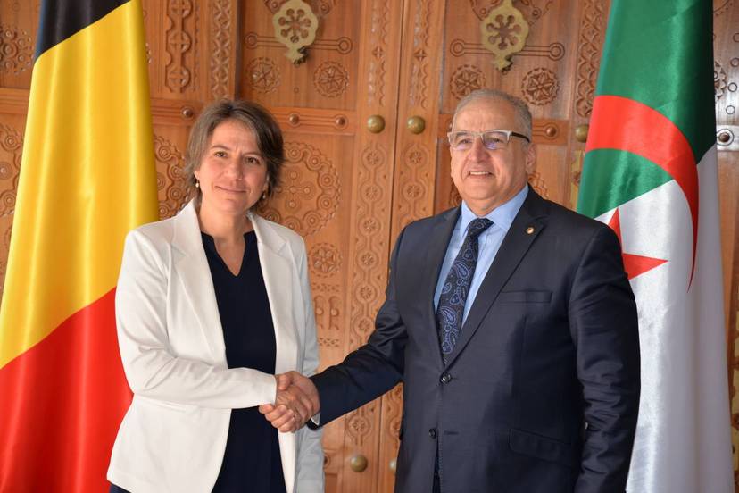 5th session of Algerian-Belgian political consultations held